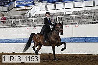 11r13_1193 proof