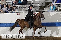 11r13_1197 proof