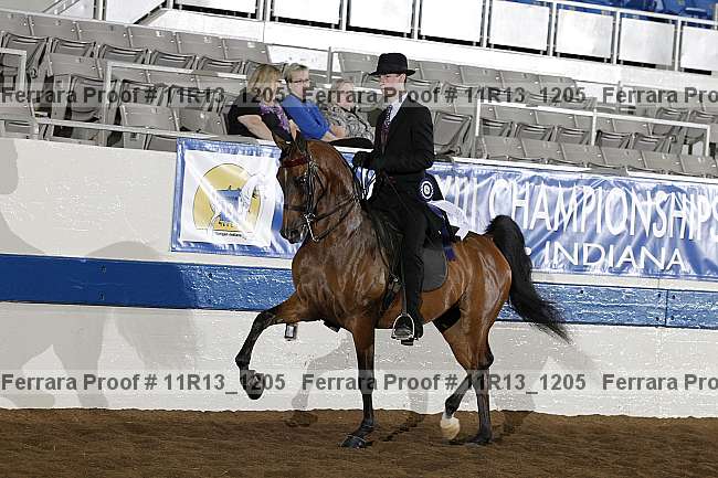 Proof 11r13_1205