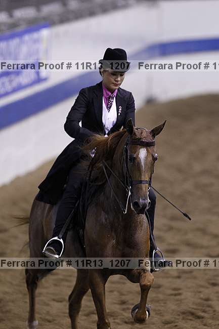 Proof 11r13_1207