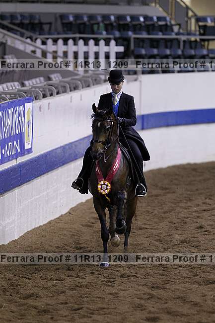 Proof 11r13_1209