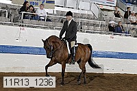 11r13_1236 proof