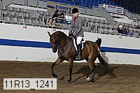 11r13_1241 proof