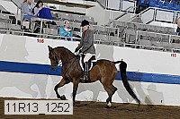 11r13_1252 proof