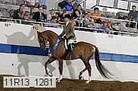 11r13_1281 proof
