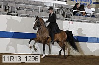 11r13_1296 proof