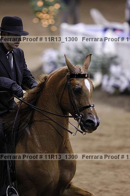 Proof 11r13_1300