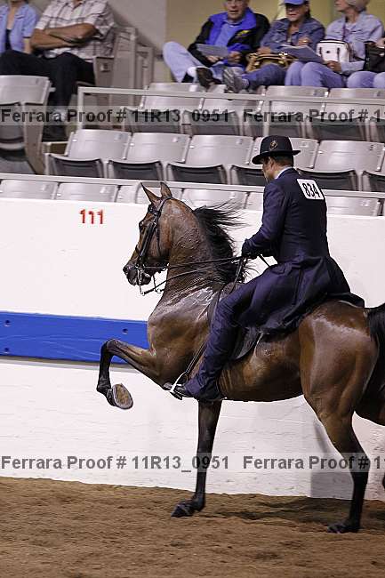 Proof 11r13_0951