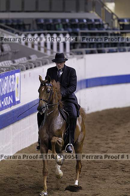 Proof 11r13_0954