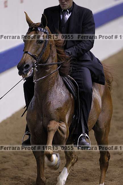 Proof 11r13_0955