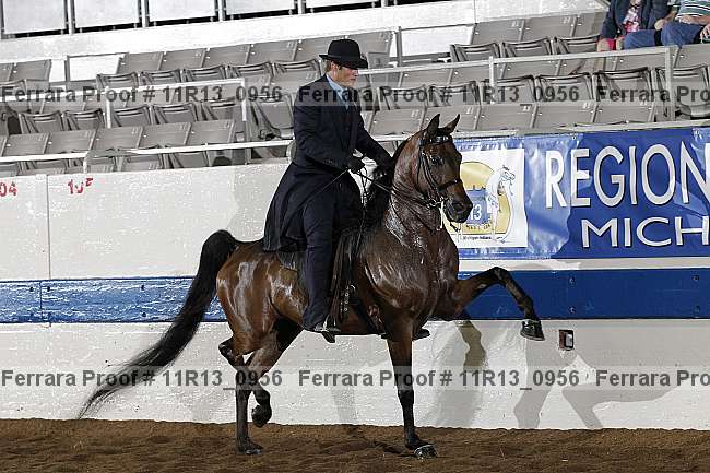 Proof 11r13_0956