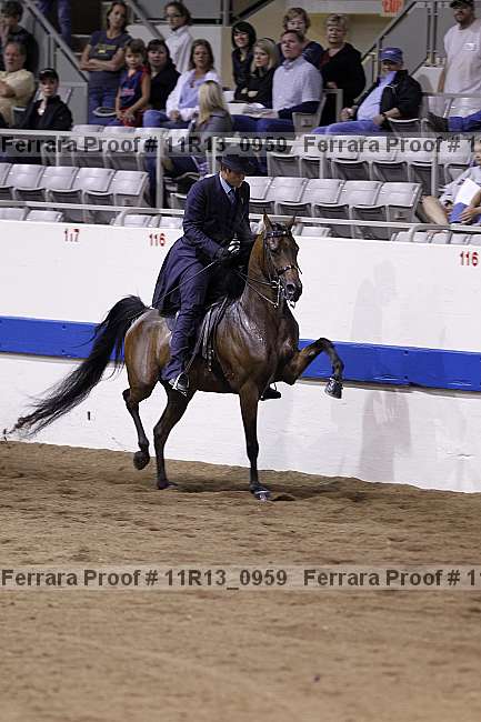 Proof 11r13_0959