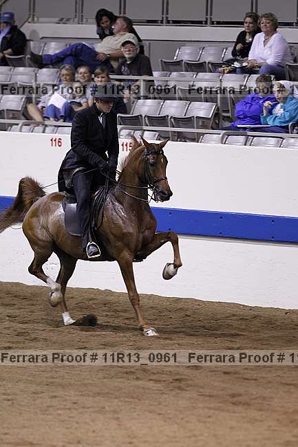 Proof 11r13_0961
