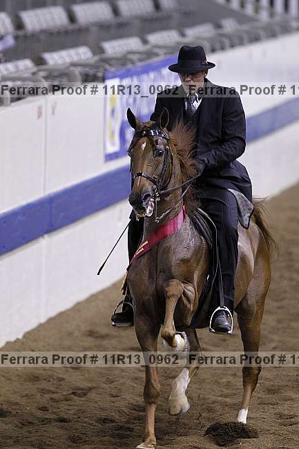 Proof 11r13_0962