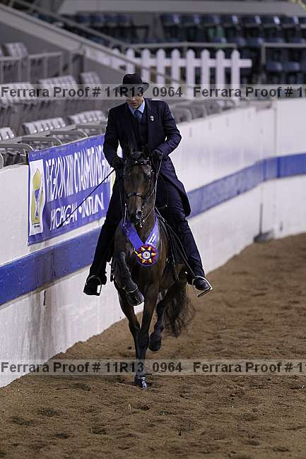 Proof 11r13_0964