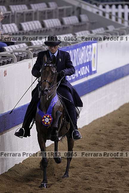 Proof 11r13_0965