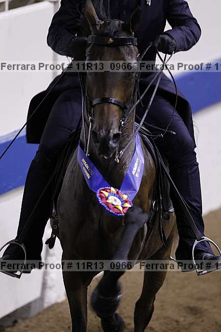 Proof 11r13_0966