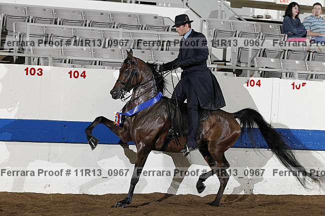 Proof 11r13_0967