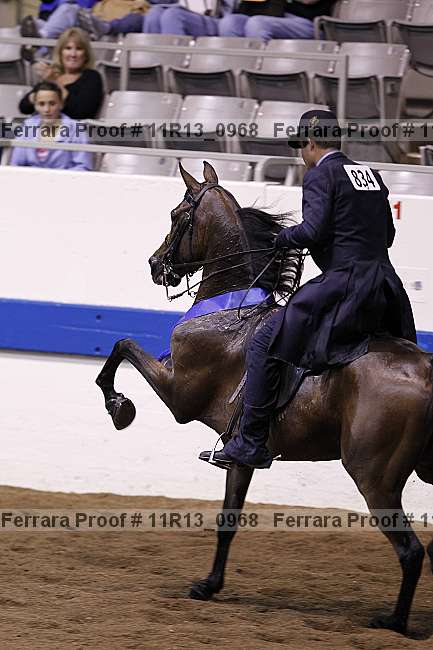 Proof 11r13_0968