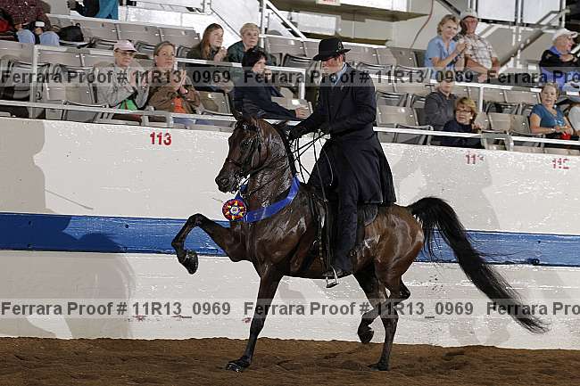 Proof 11r13_0969