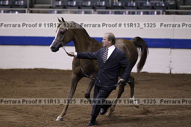 Proof 11r13_1325