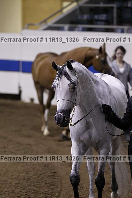 Proof 11r13_1326