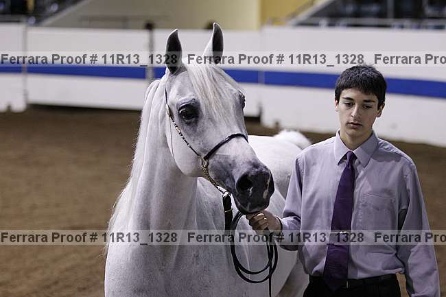 Proof 11r13_1328