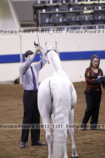 Proof 11r13_1331
