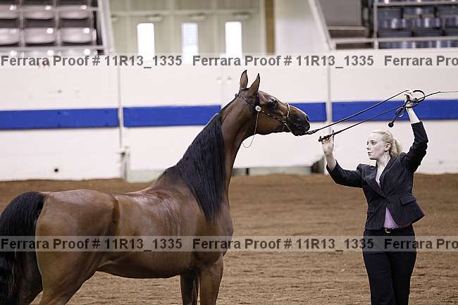 Proof 11r13_1335