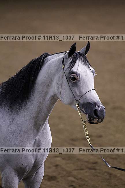 Proof 11r13_1337