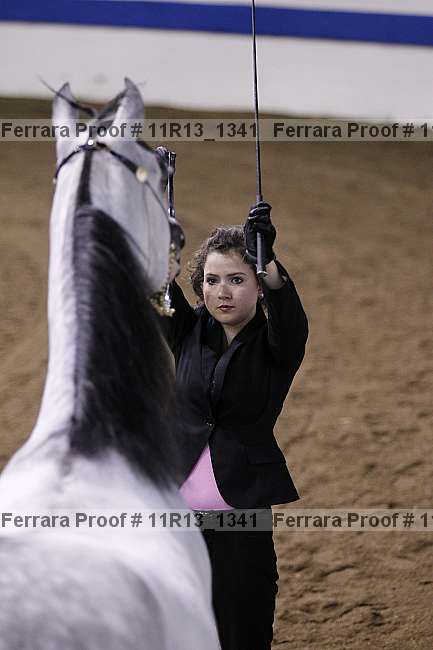 Proof 11r13_1341