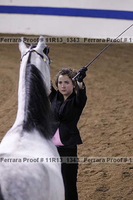 Proof 11r13_1343
