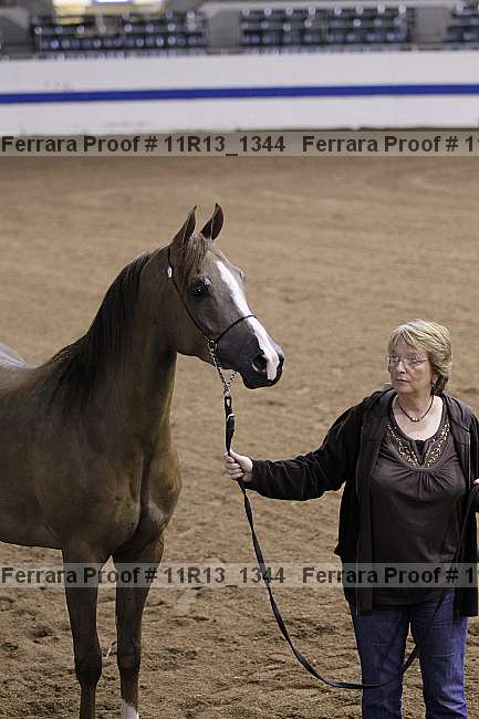 Proof 11r13_1344