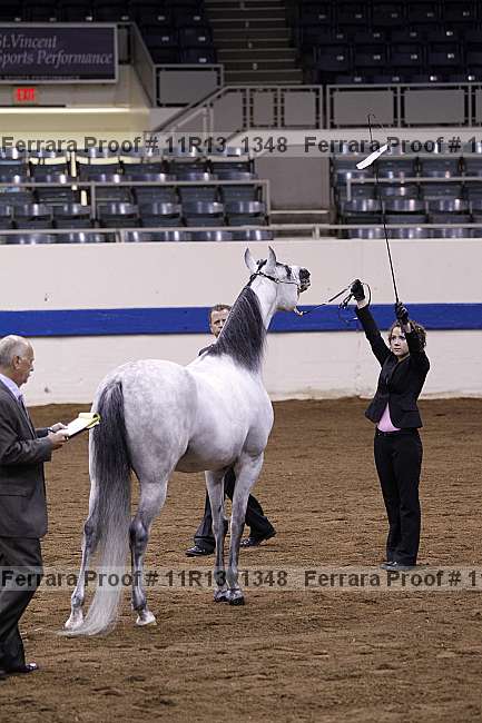 Proof 11r13_1348