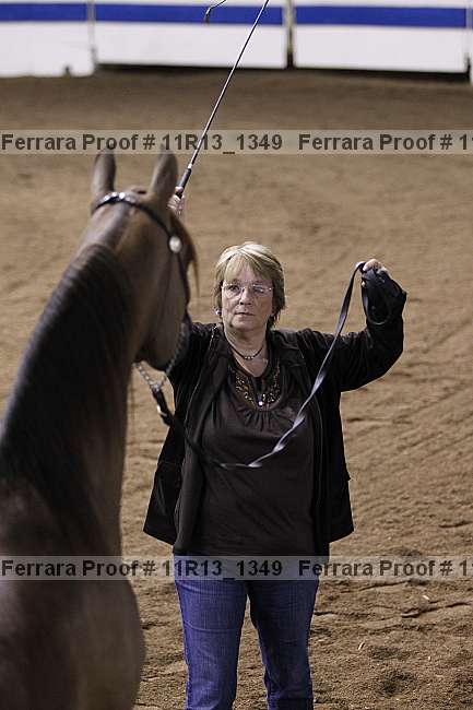 Proof 11r13_1349