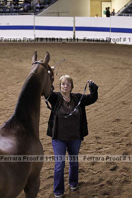 Proof 11r13_1351