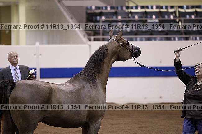 Proof 11r13_1354