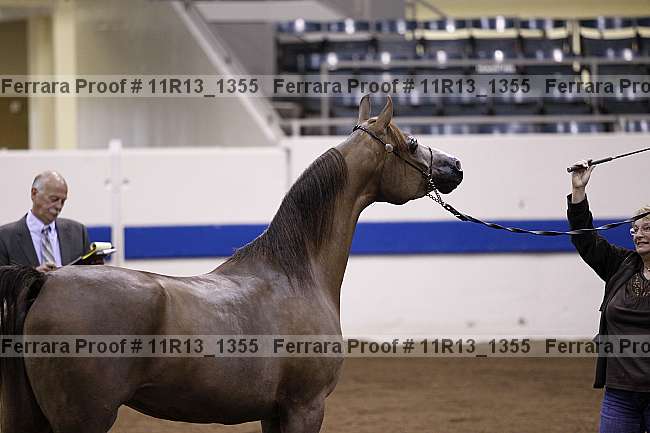Proof 11r13_1355
