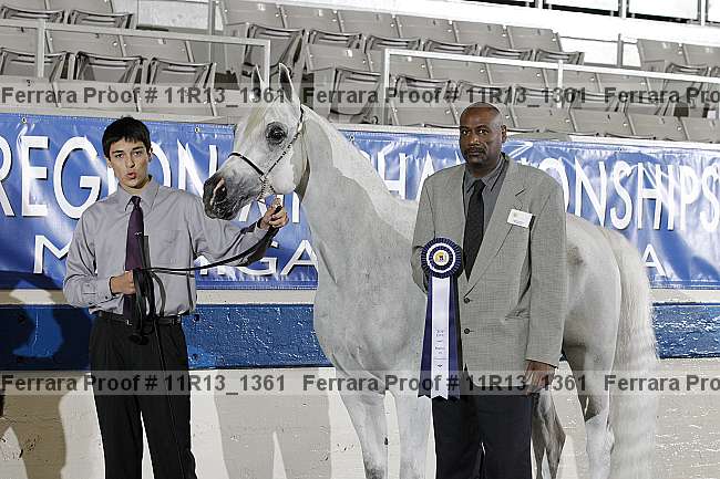 Proof 11r13_1361