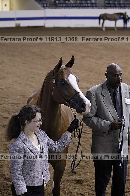Proof 11r13_1368