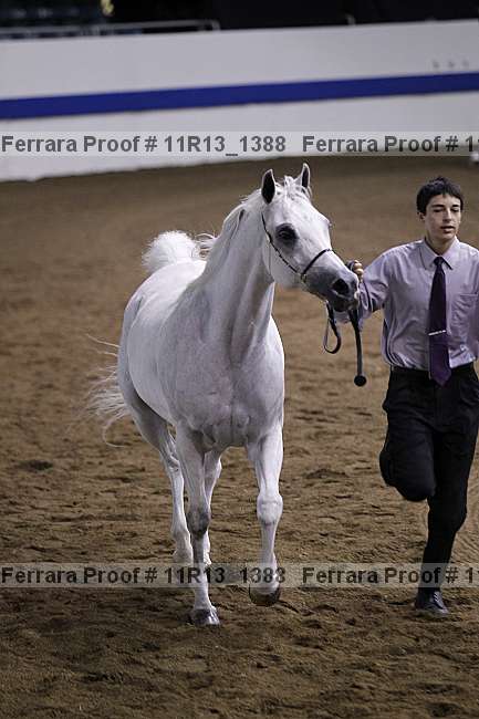 Proof 11r13_1388
