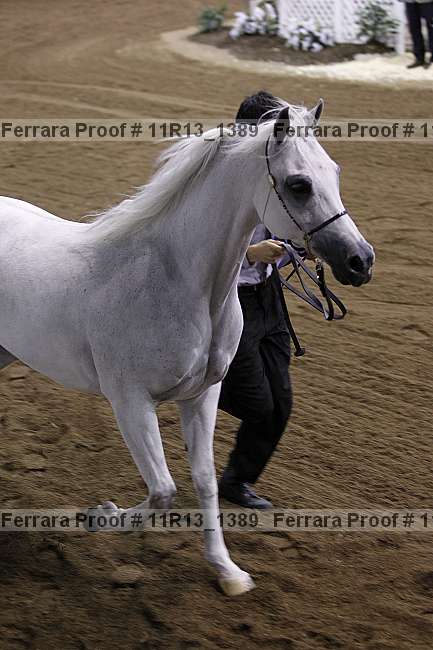 Proof 11r13_1389