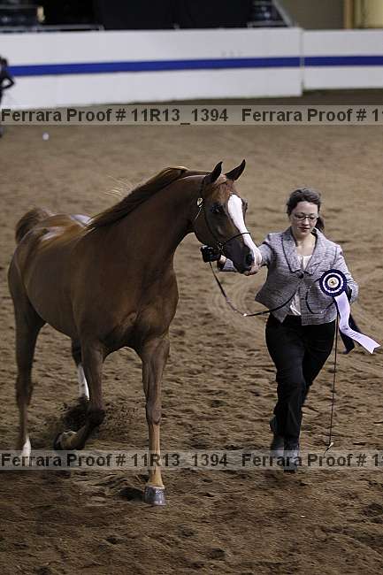 Proof 11r13_1394