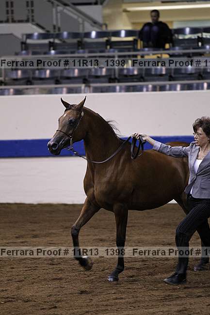 Proof 11r13_1398