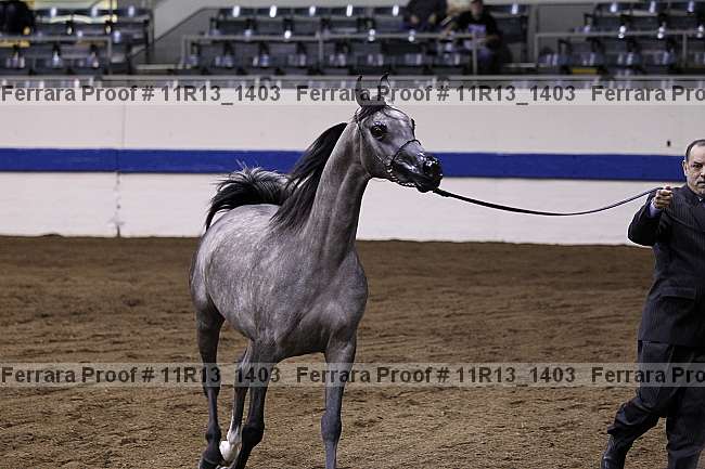 Proof 11r13_1403