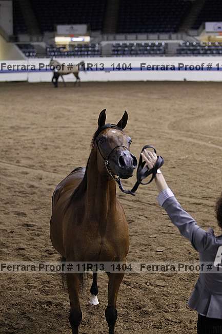 Proof 11r13_1404