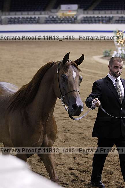 Proof 11r13_1405
