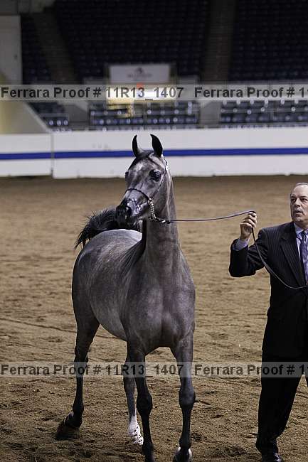 Proof 11r13_1407