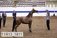 11r13_1411 proof