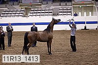 11r13_1413 proof